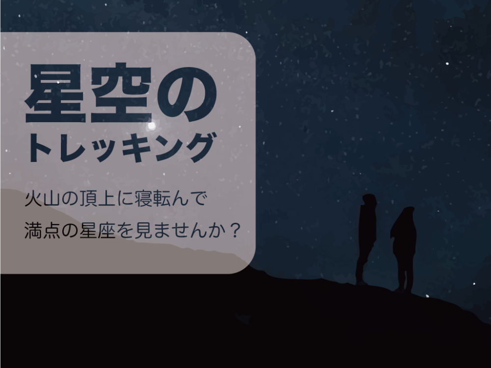 夜のトレイルランニング